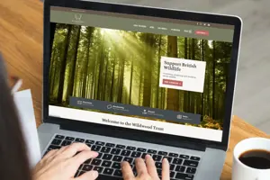Website built on Umbraco Cloud's Baseline feature: Wildwood